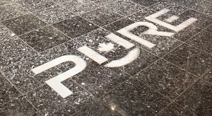 Pure Casino Edmonton place picture