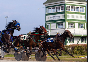 Red Shores Racetrack & Casino place picture